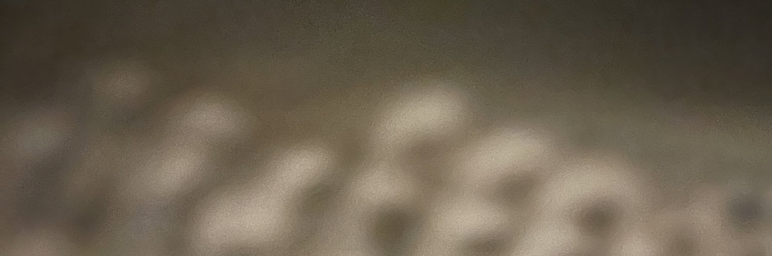 KaidenMaddison's profile banner image