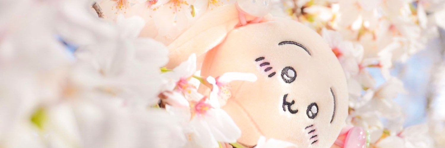 ꙳⋆ R⃰E⃰N⃰A⃰C⃰H⃰I⃰ ⋆꙳ banner