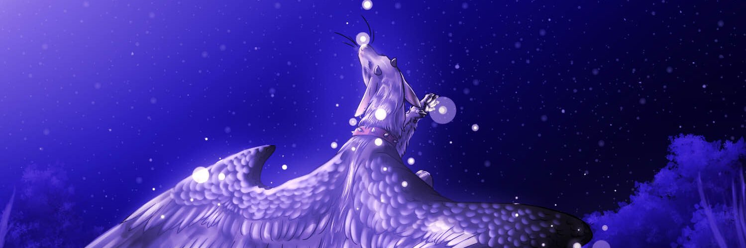 Hooliboolioolio's profile banner image