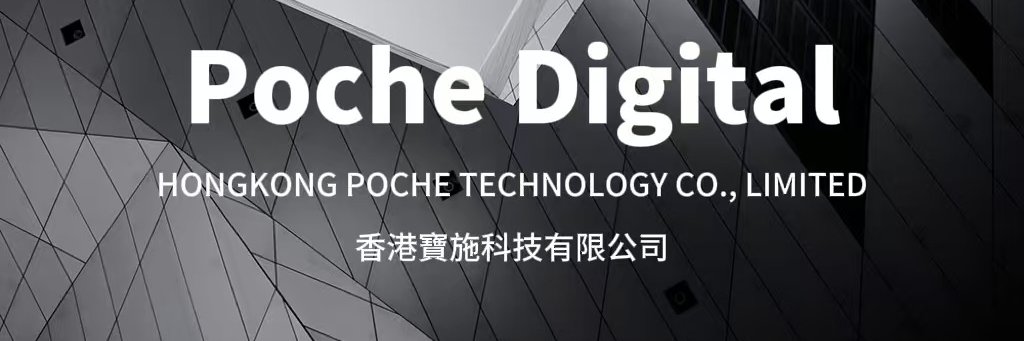 Poche Digital banner