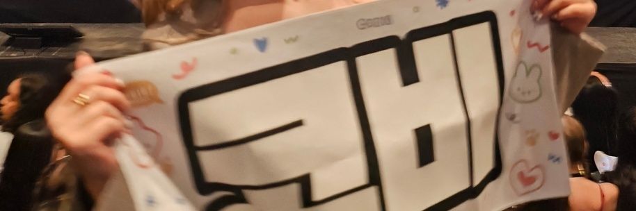 didem banner