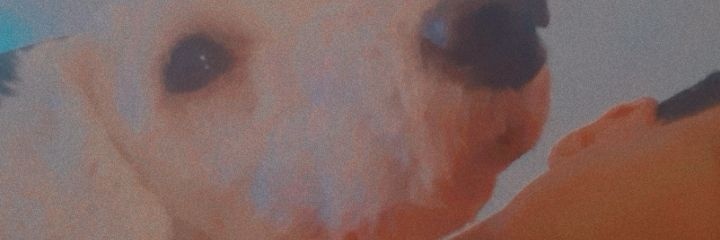 Silas_V21's profile banner image