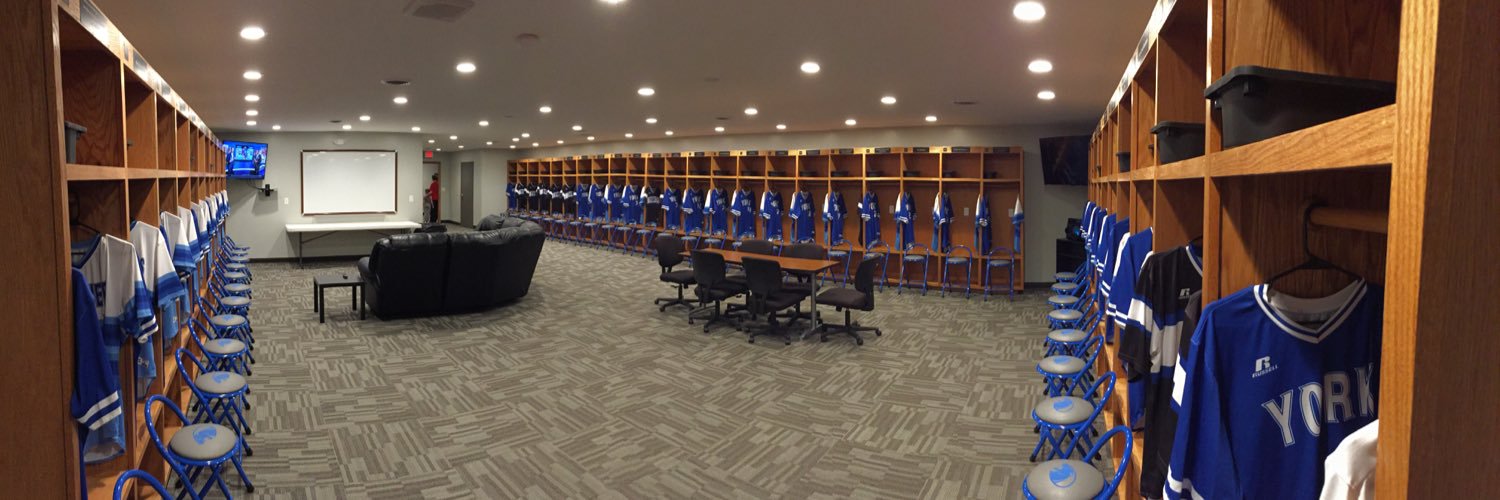 York University Baseball banner
