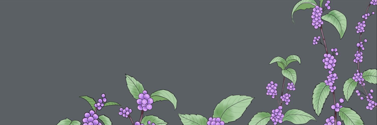 おなす's banner