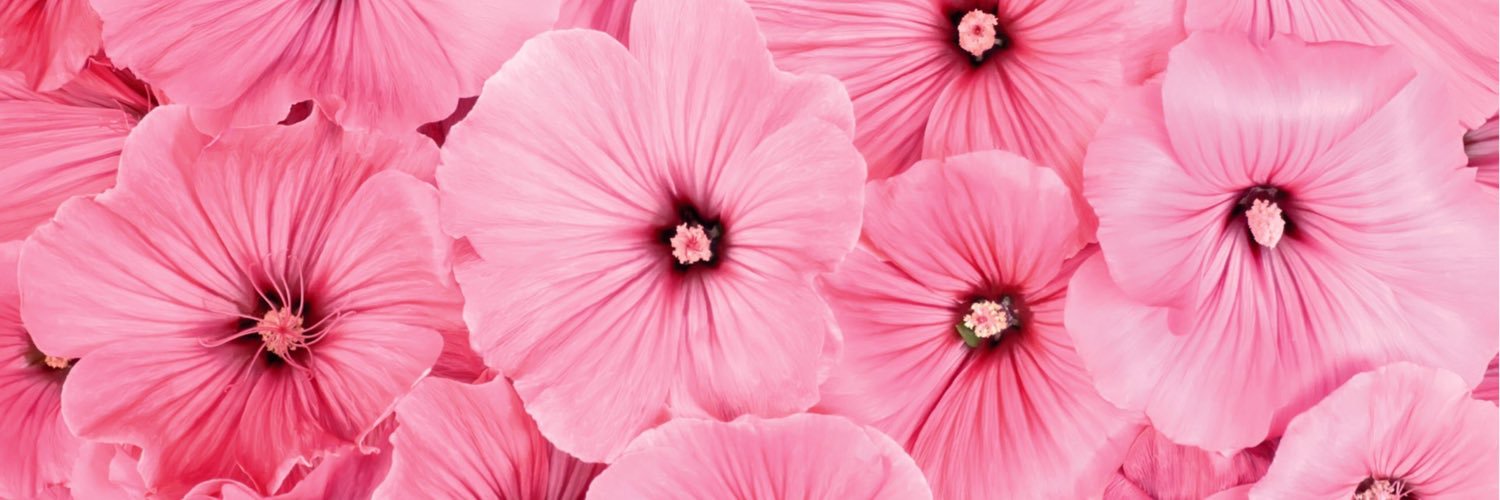Jo_ORDANN's profile banner image