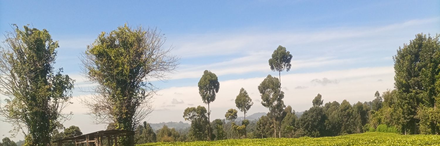 Kinyuakanyora banner