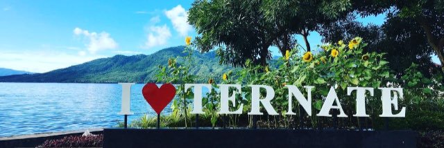LoveTernate's profile banner image