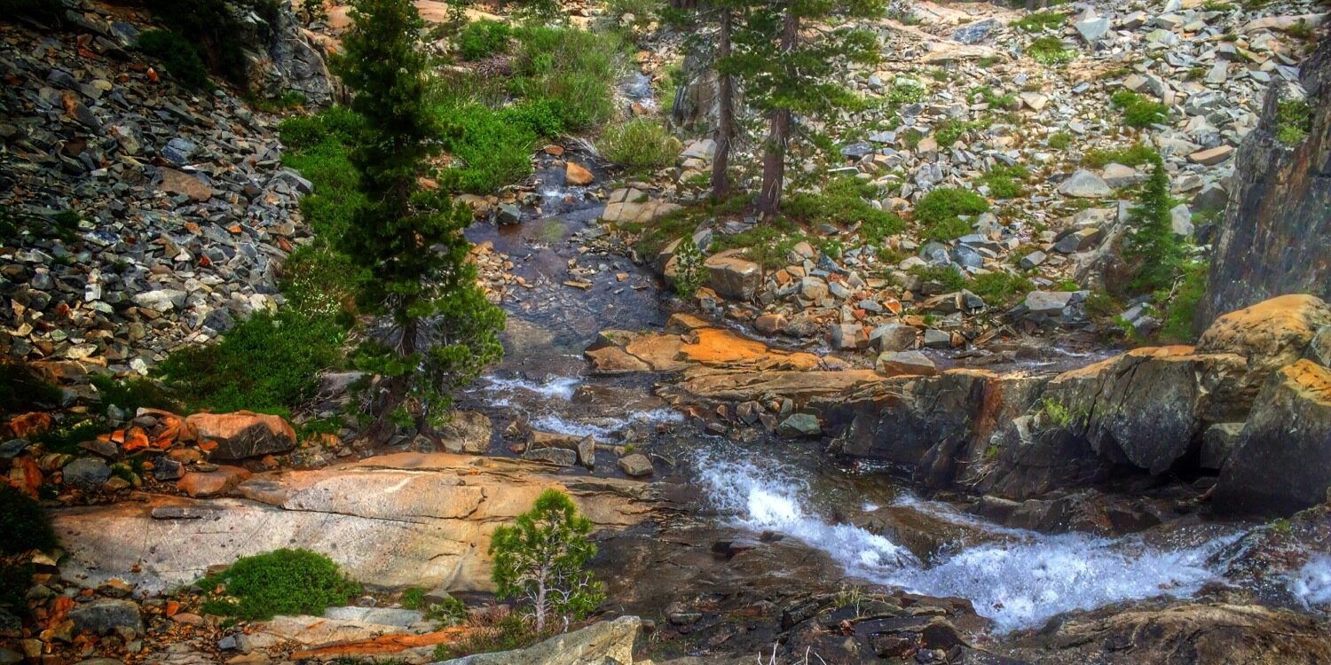 Sanspineapple banner