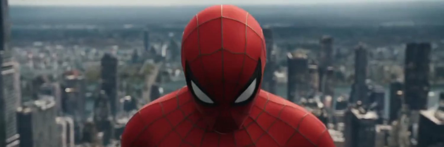 Nick Schifani banner