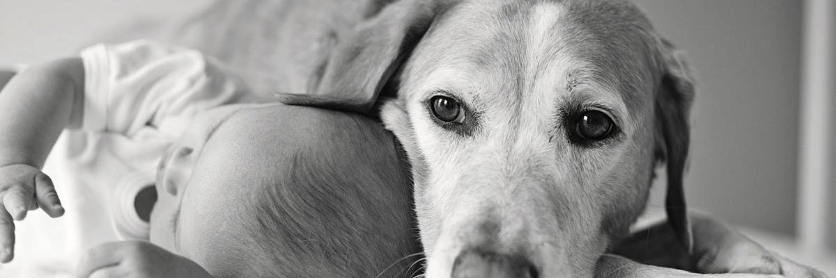 Rawde90's profile banner image