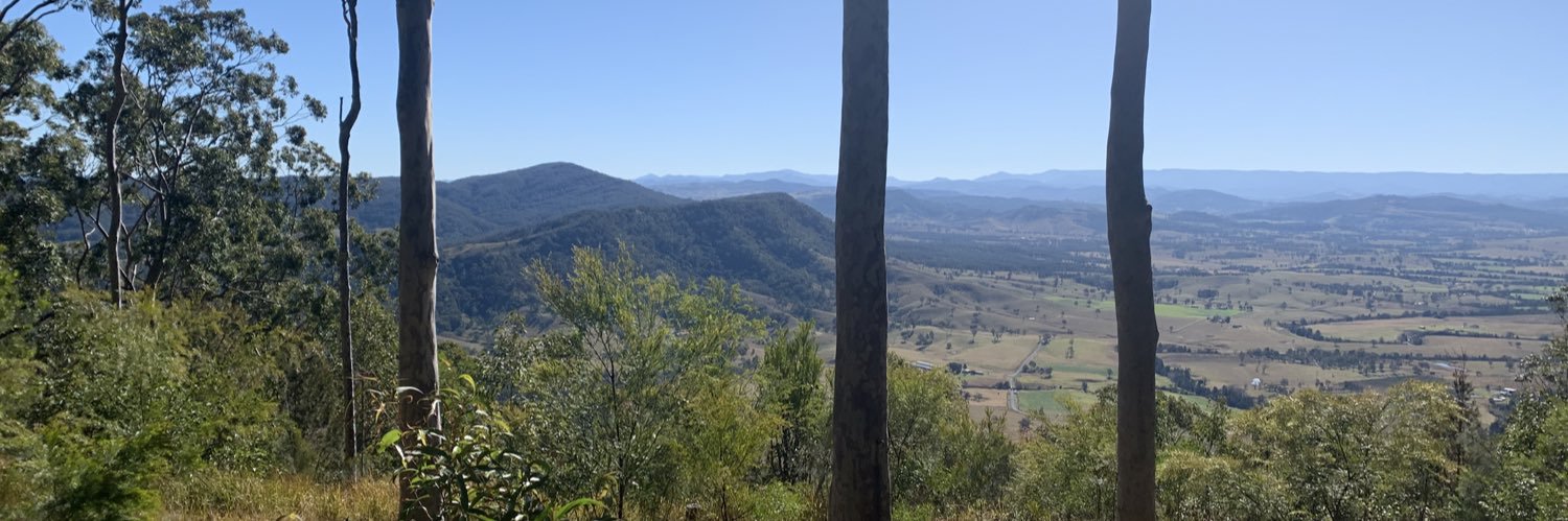 Vanessa E Murphy banner