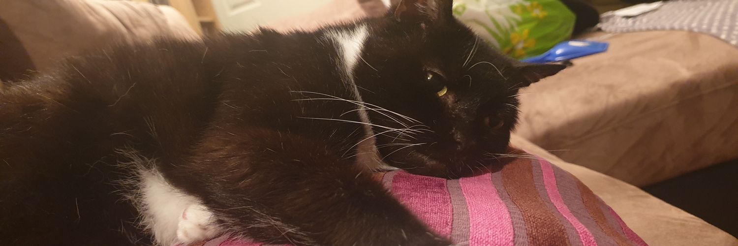 _lulabelle's profile banner image