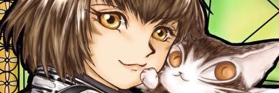 せらねこ@Fenrir11 banner