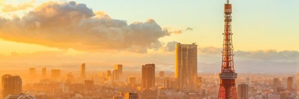 ERcrypx's profile banner image