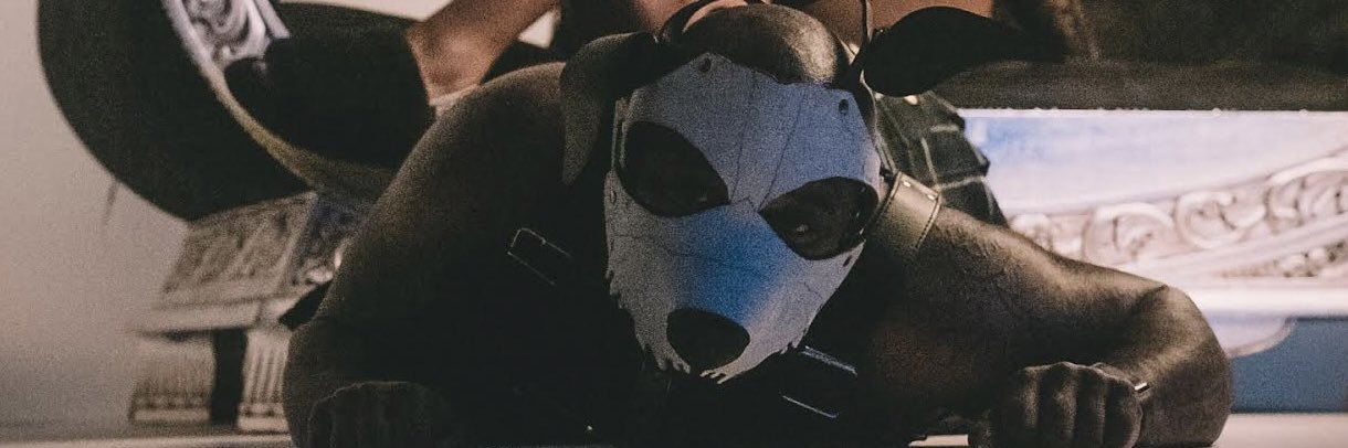 Prince Ali🐶🏳️‍⚧️ banner