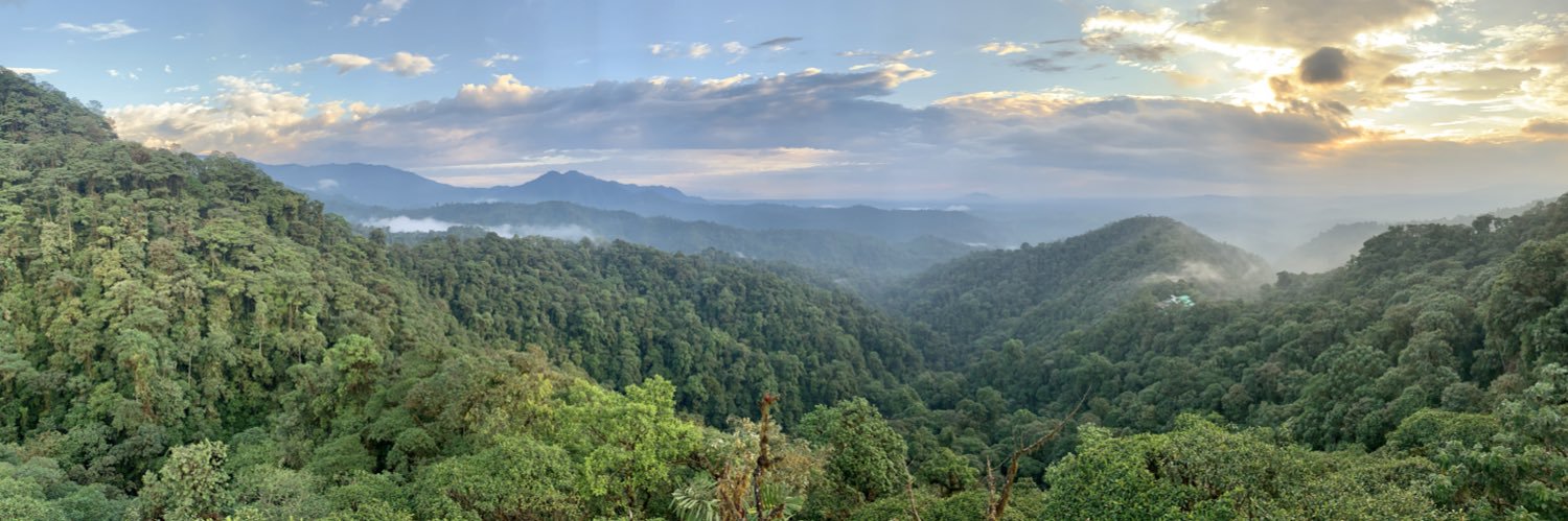 Dominic Hamilton banner