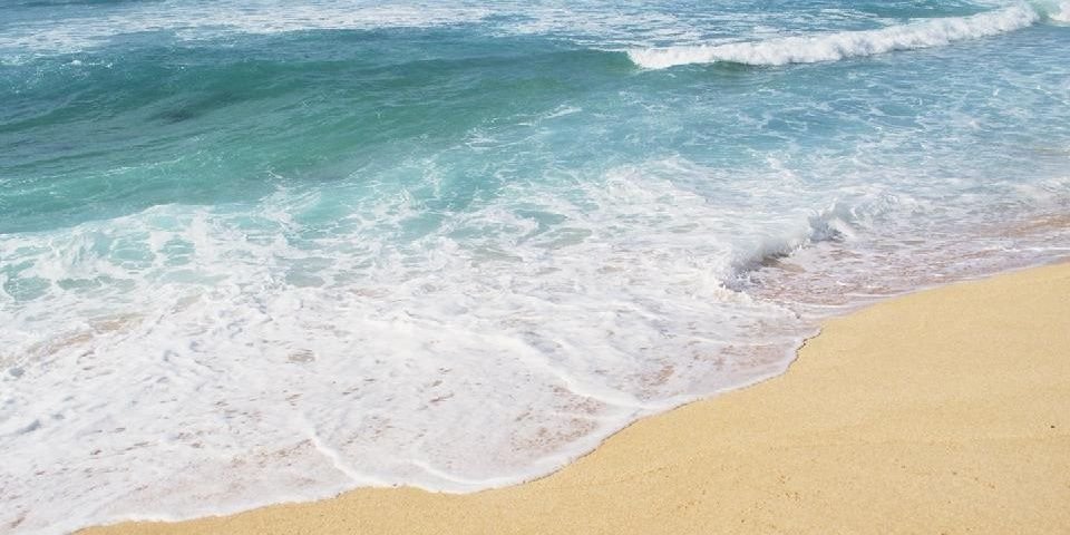 leticiaroman24's profile banner image