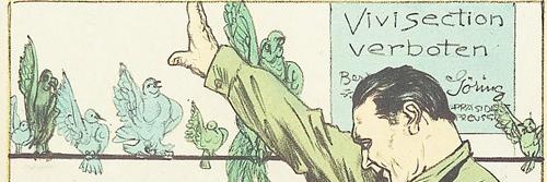 Right-wing Blackbird banner