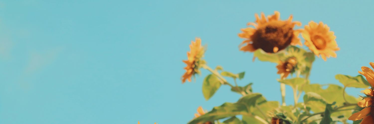 sassasti's profile banner image