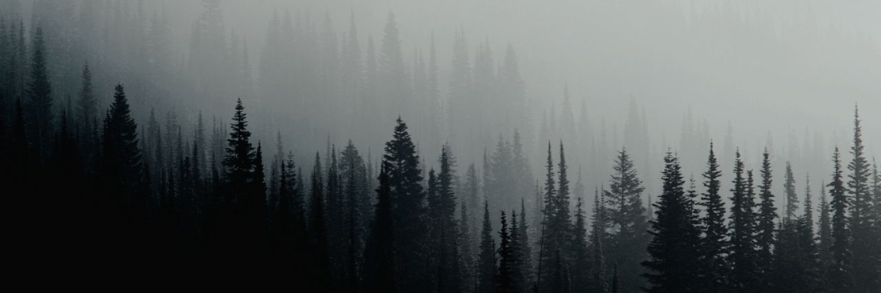 b banner