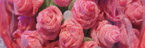 Angela912174683 Profile Banner