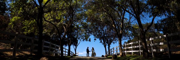 BMeiselas Profile Banner