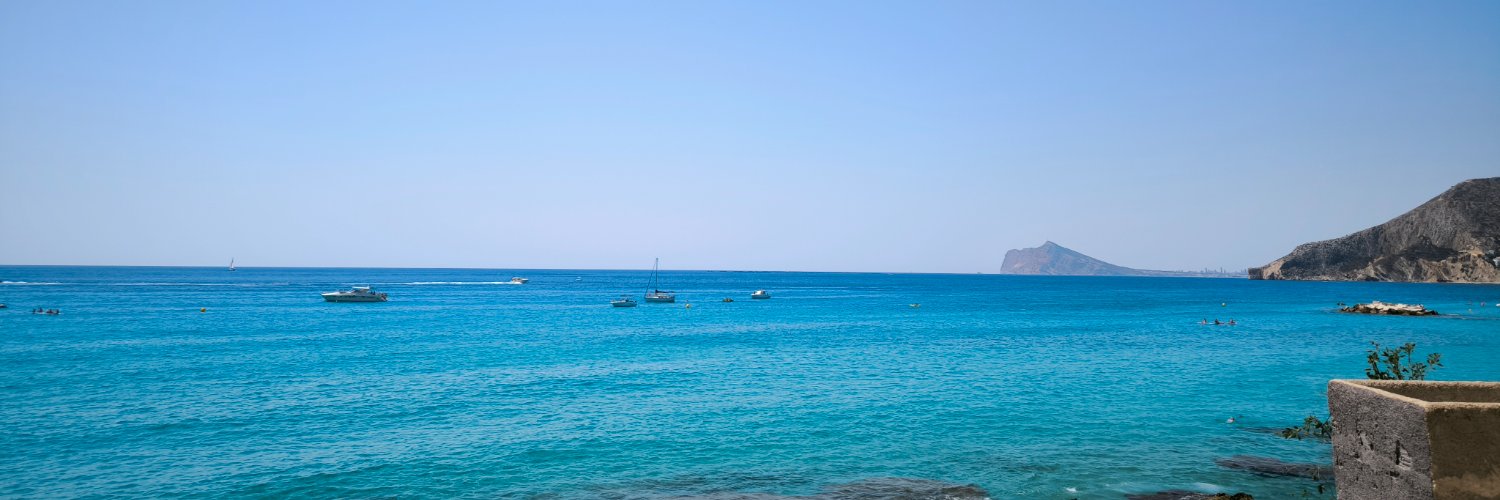 Vicent banner
