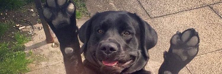 AndrewChubbs's profile banner image