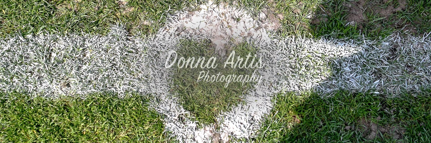 Donna Artis Photography banner