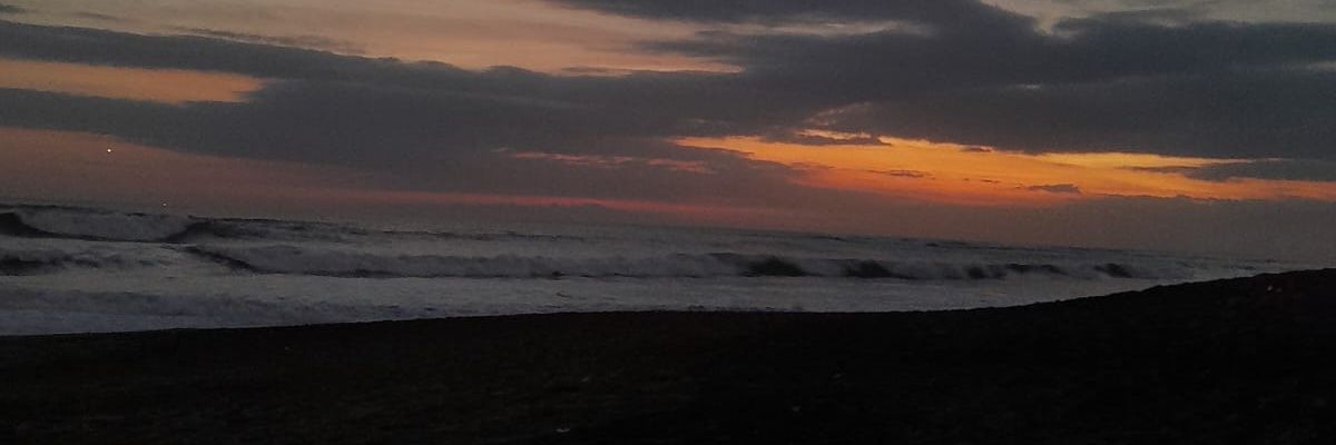 Cochoo Cookie 🍪 banner