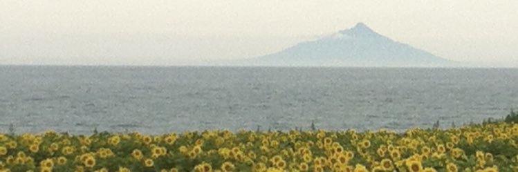 みぞりん banner