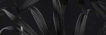 ButkoAnast's profile banner image