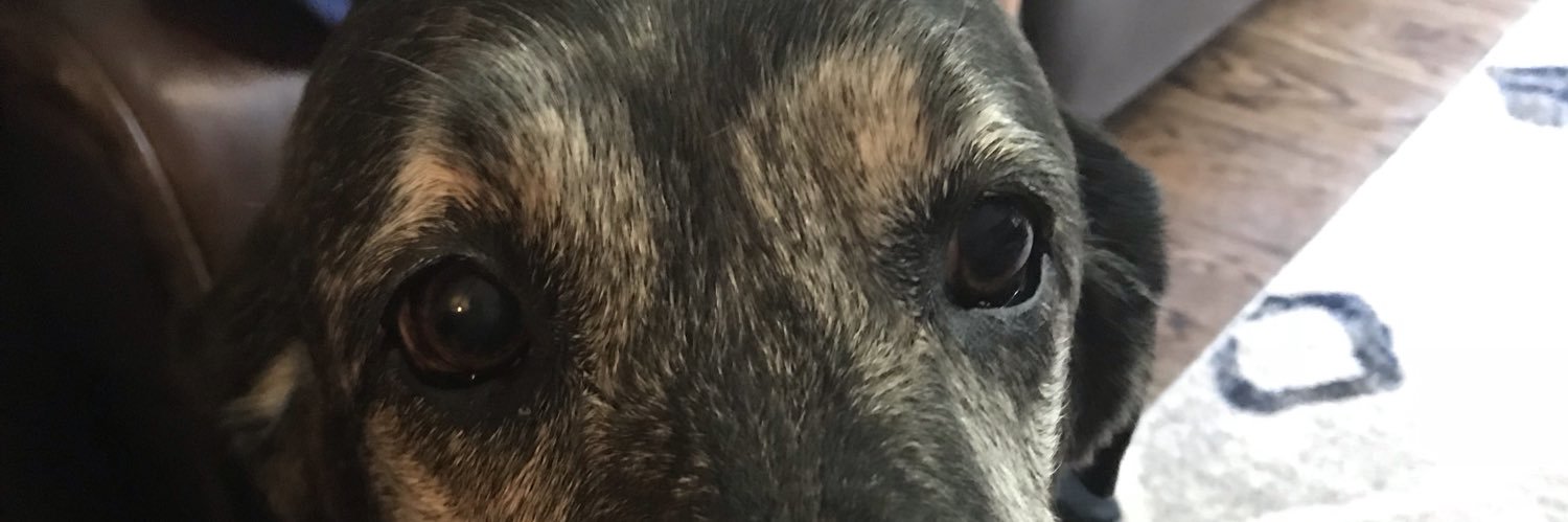 Ritajaneblack's profile banner image