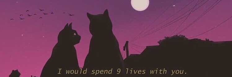 talimayy's profile banner image