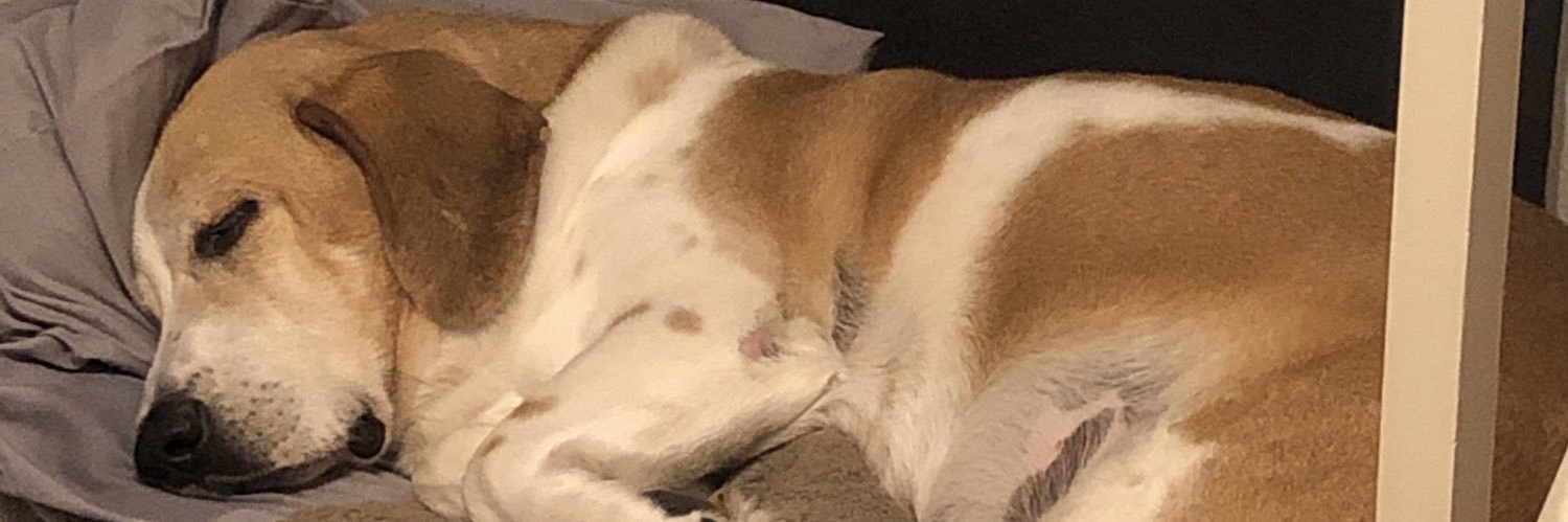 mebrianne's profile banner image