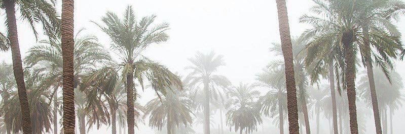 ميلاف banner