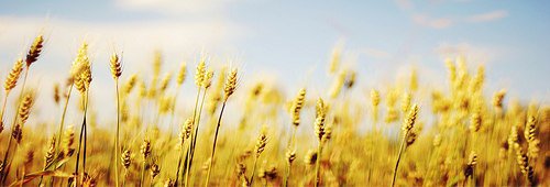 noeticdm's profile banner image