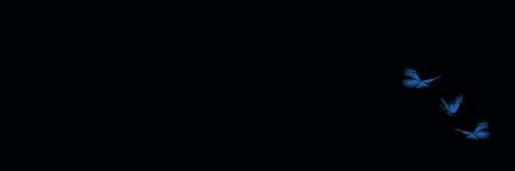deadmarionetta's profile banner image
