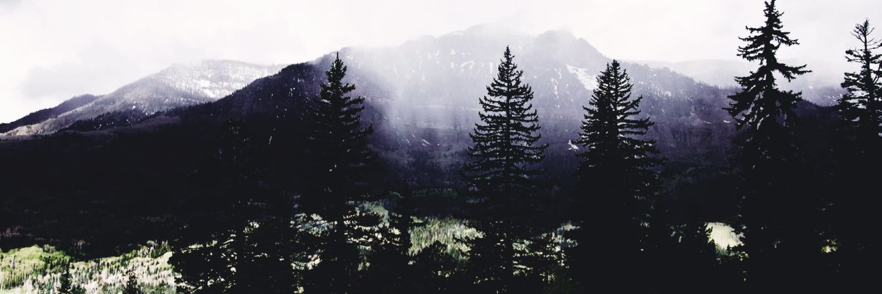 covfefe_man's profile banner image