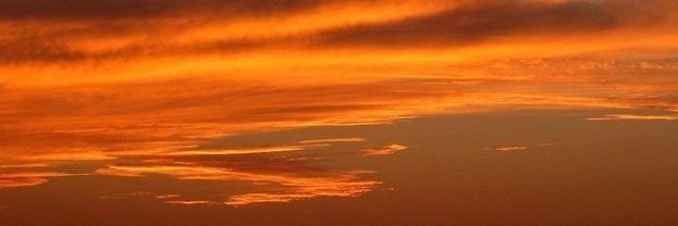 FerryPup61369's profile banner image