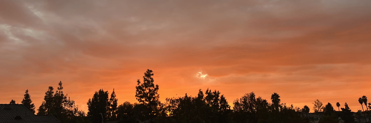 Idalmis99's profile banner image
