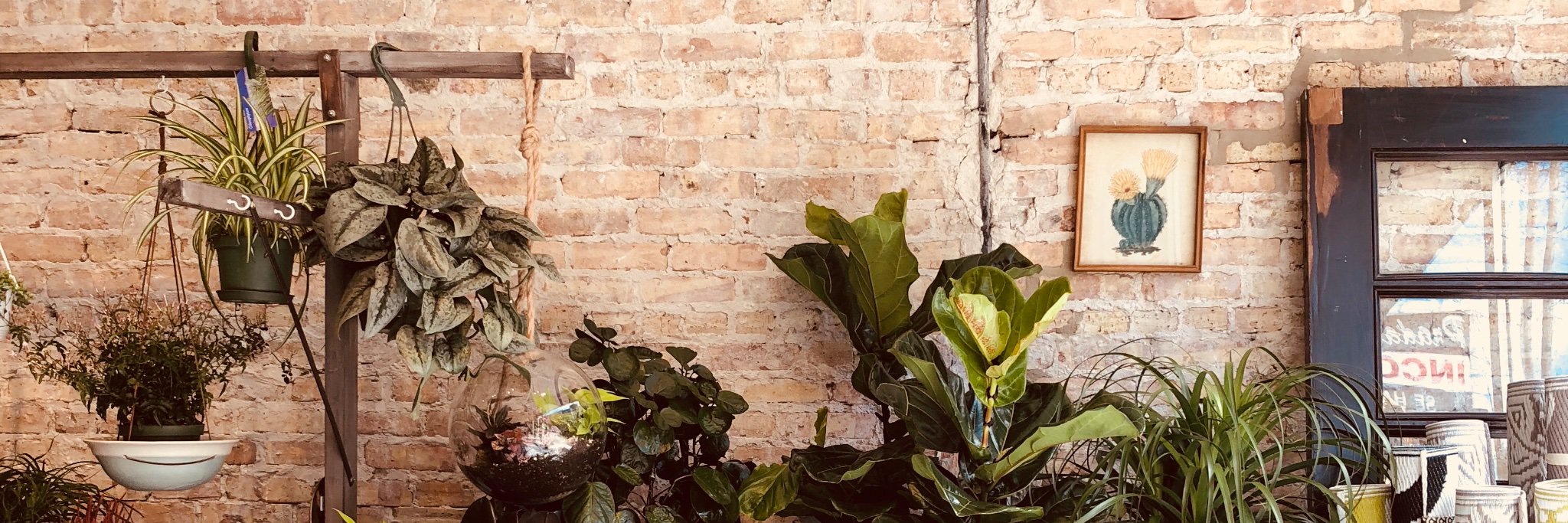 Mickeybgreen's profile banner image