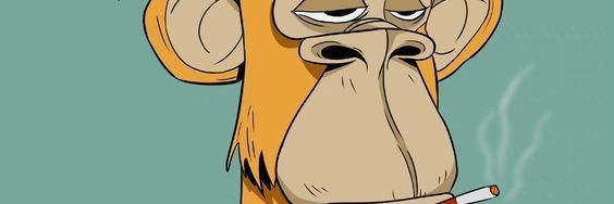 2bleo_37's profile banner image