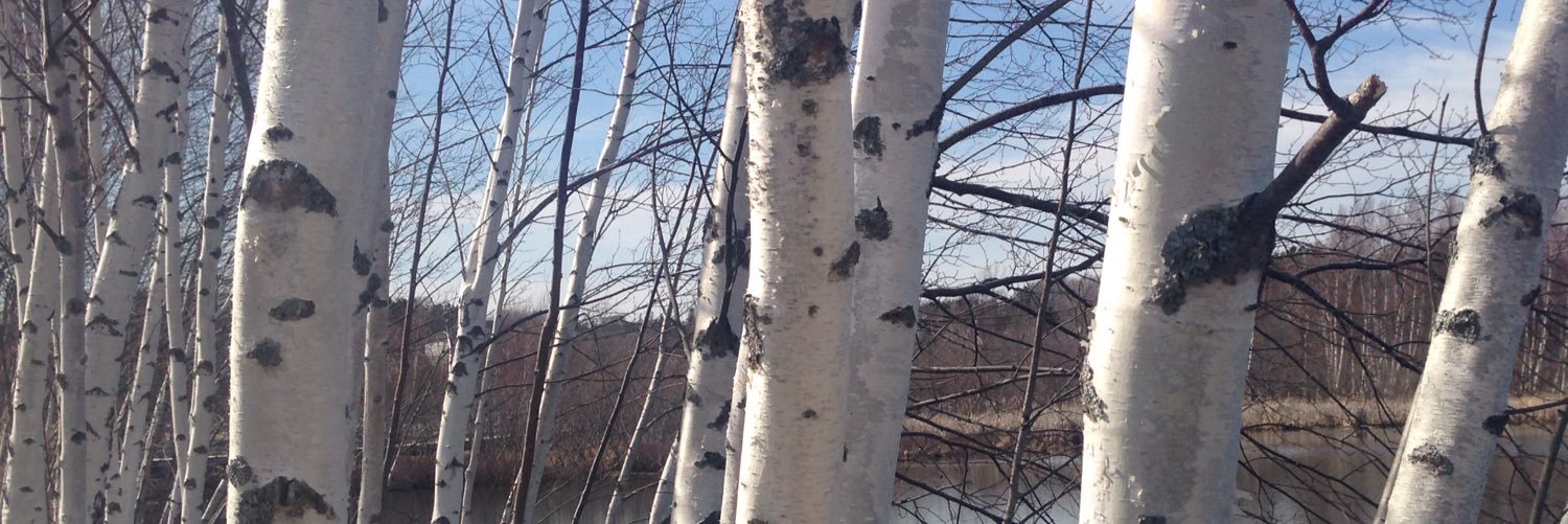 CarolineLubbe-D'Arcy banner