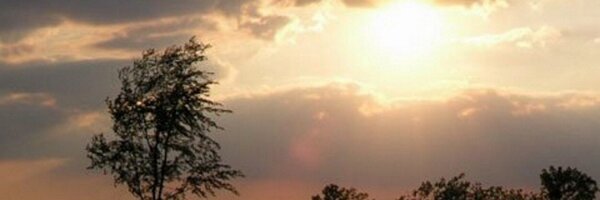 DrImransid85 Profile Banner