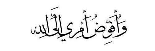ap110majid's profile banner image