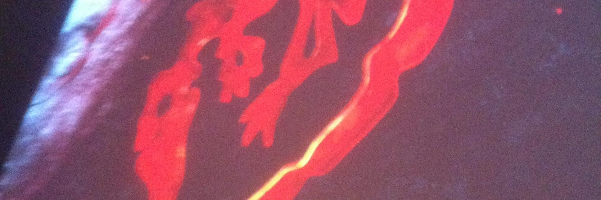 Fredrik Wester's banner
