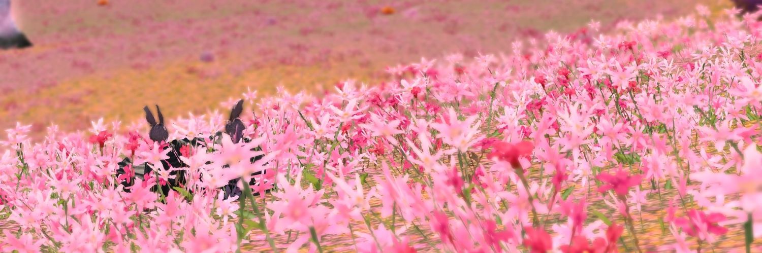 ff14_flmy's profile banner image