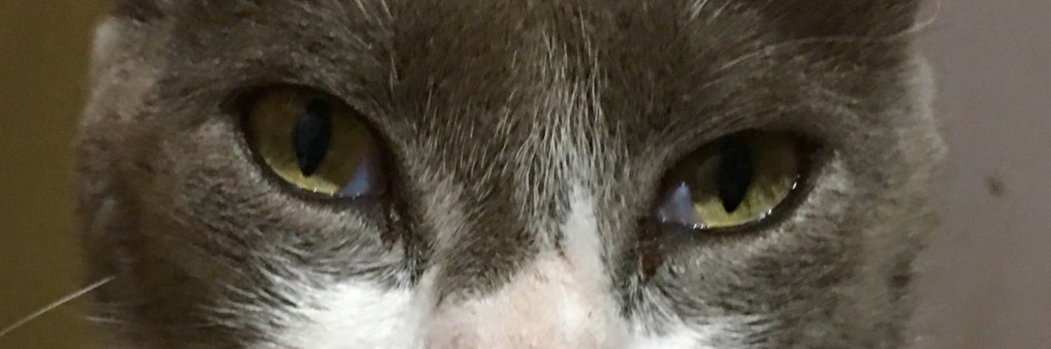 AlexMundial78's profile banner image