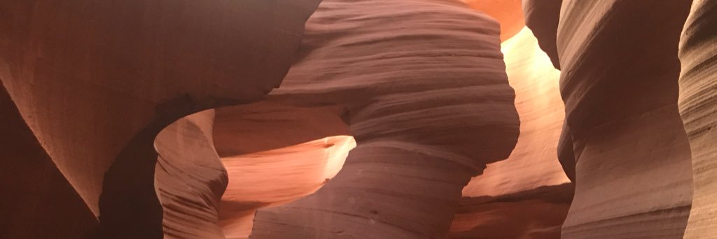 condeleopoldo's profile banner image